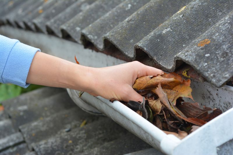 Summer Gutter Maintenance