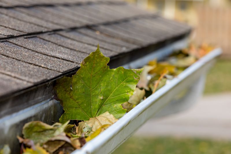 Gutter Maintenance in Summer